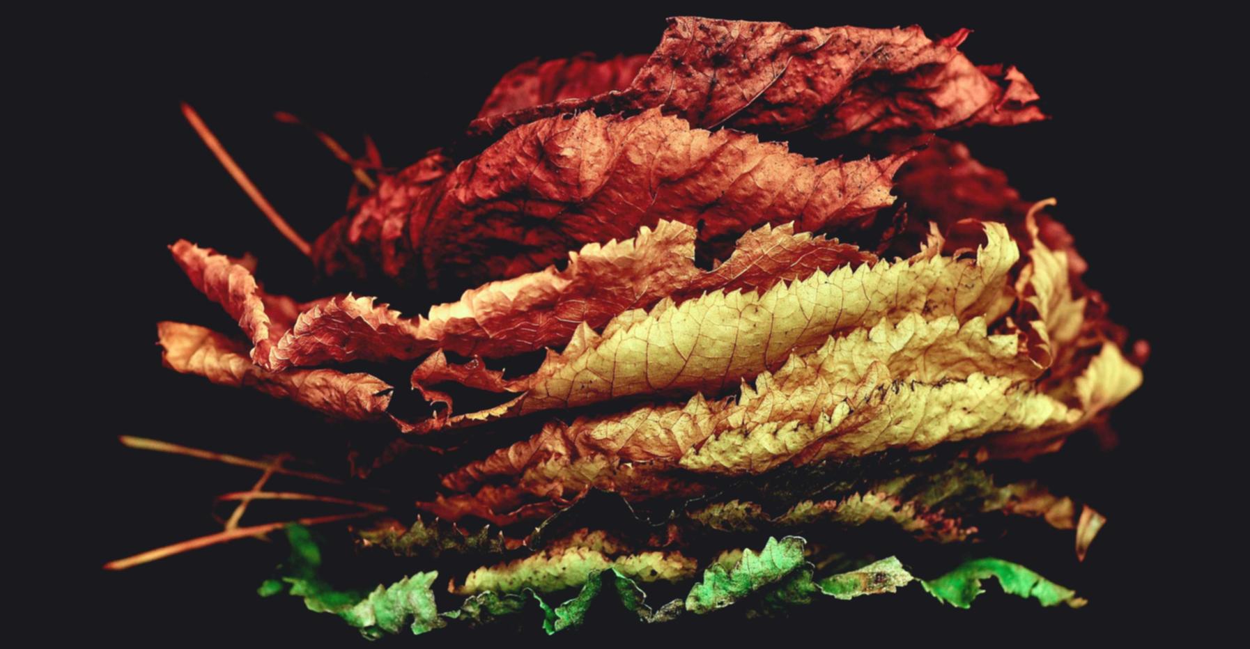 阿里云实名账号：郴州商标代理注册