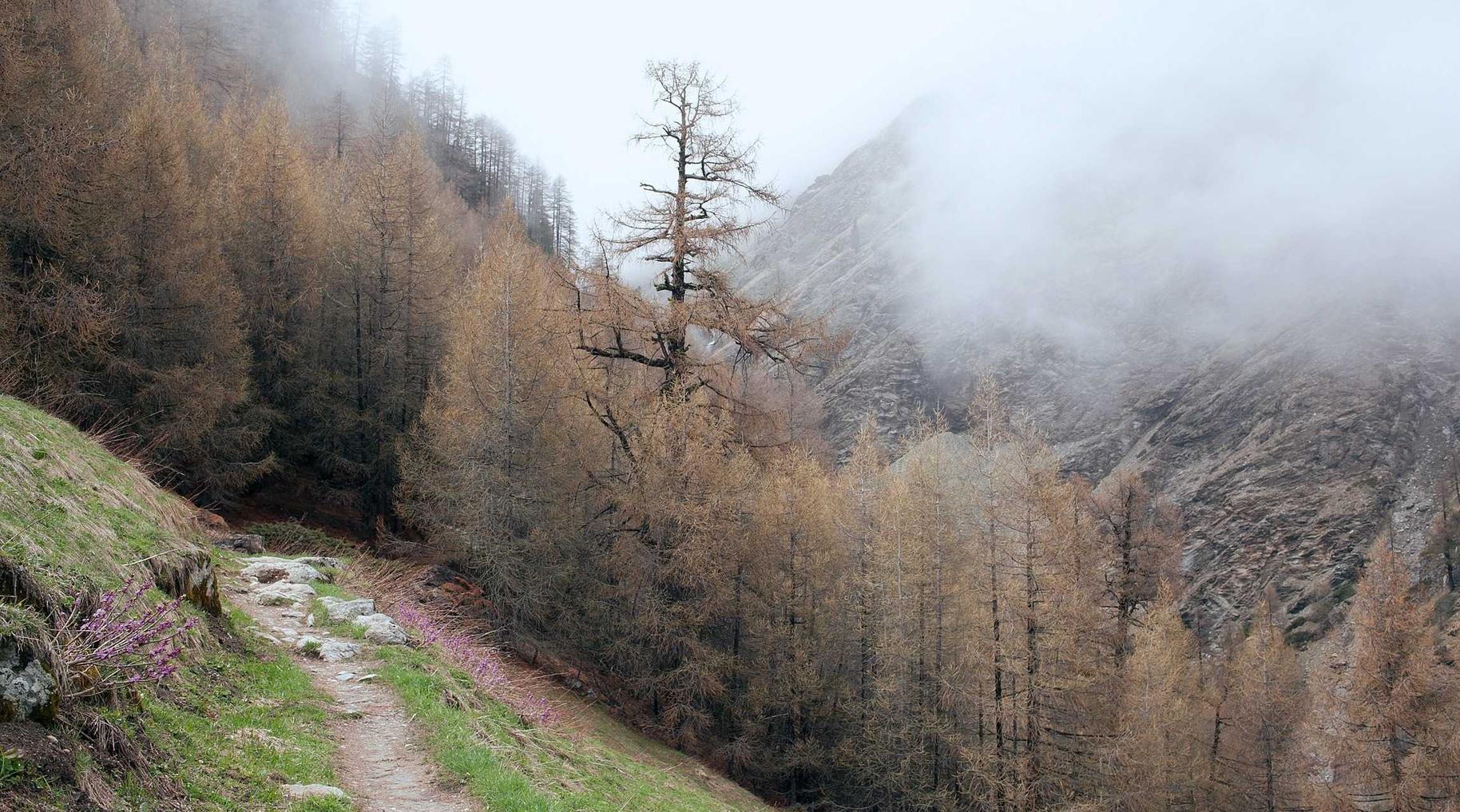 如何利用询问合成器优化SEO