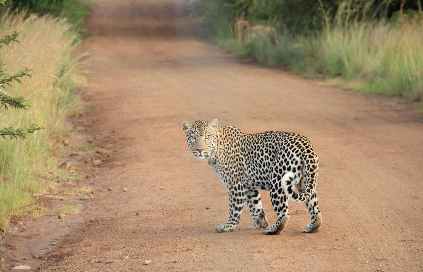 剑网1：归来：详情下载教程代理衣服推荐平台