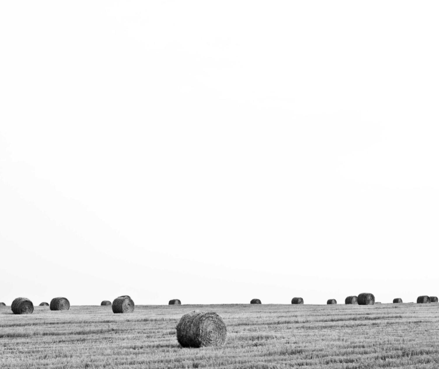 如何防止技术支持辅助影响到游戏运营商