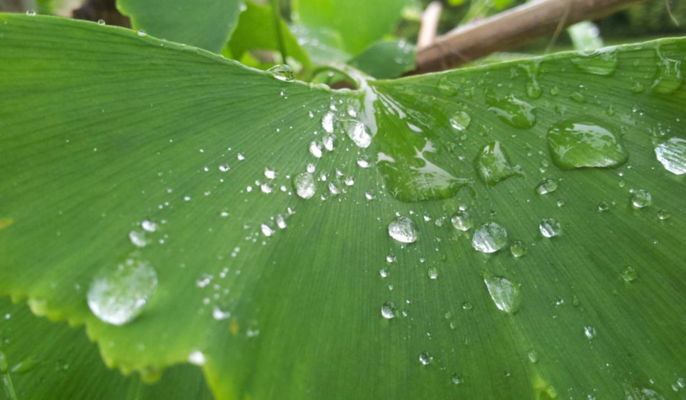 网信移动实名账号：短信群发工具推荐