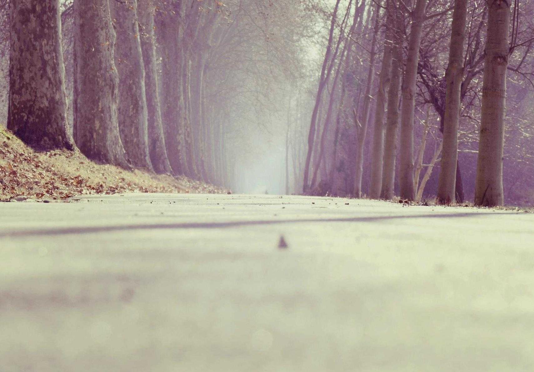 DDOS在线攻击|崇明团购买菜平台