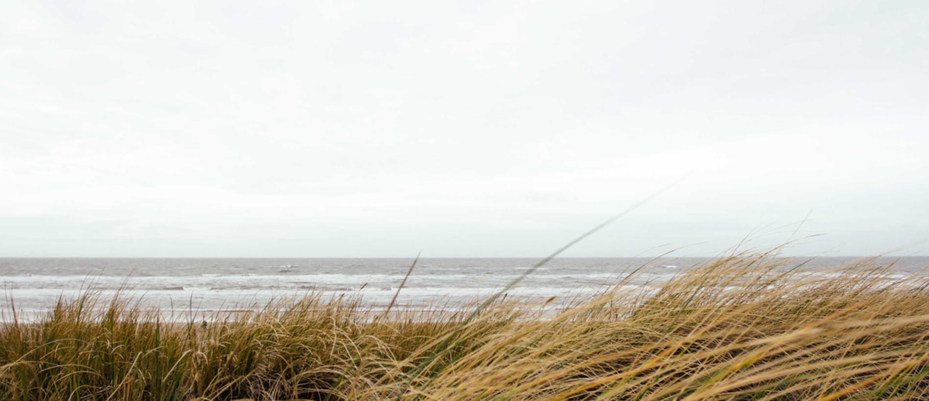 技术支持辅助的发展给游戏行业带来了哪些问题