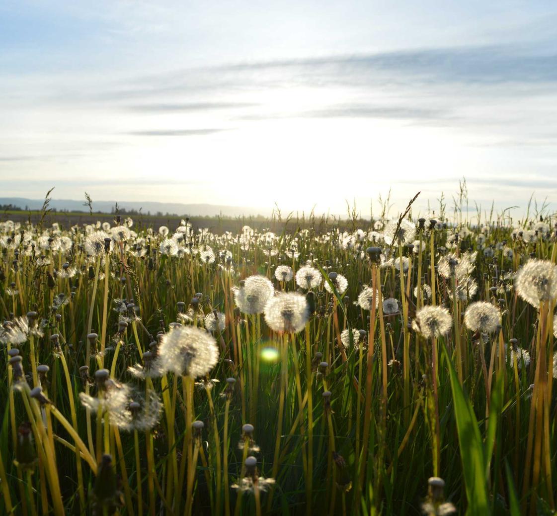 又拍云实名账号：实名制账号如何应对网络反垃圾邮件？