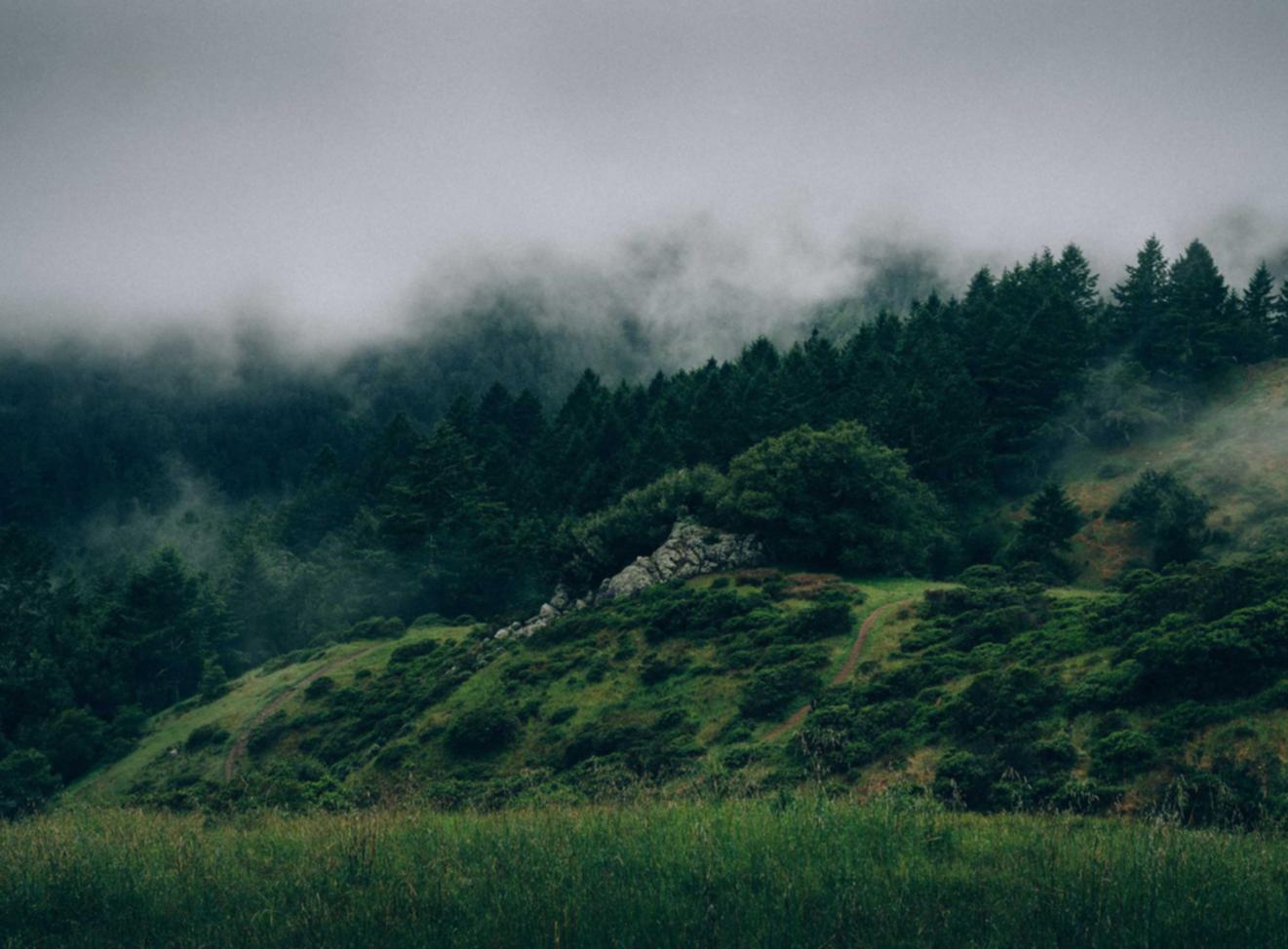 又拍云实名账号：小米手环2华为手机app详情下载教程