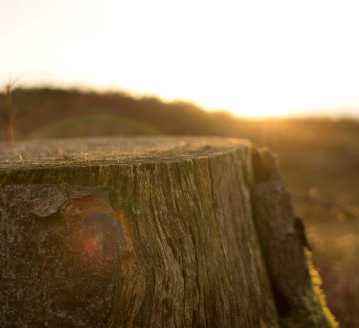 伊对实名账号：fz招代理平台