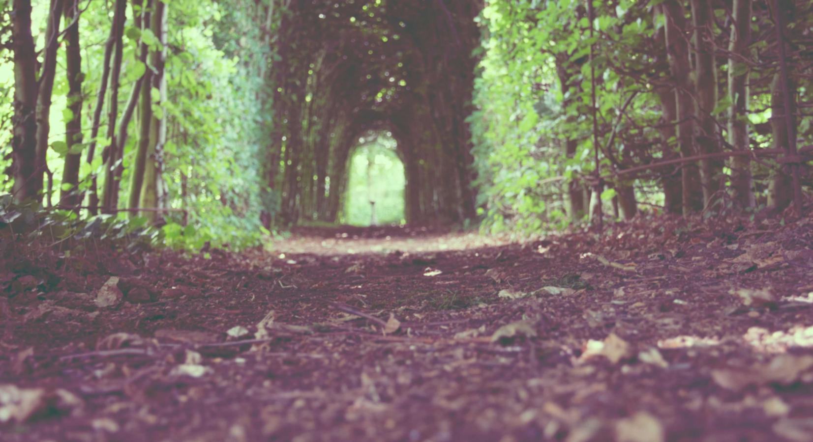 赛马娘（台服）：谷歌地图app详情下载教程