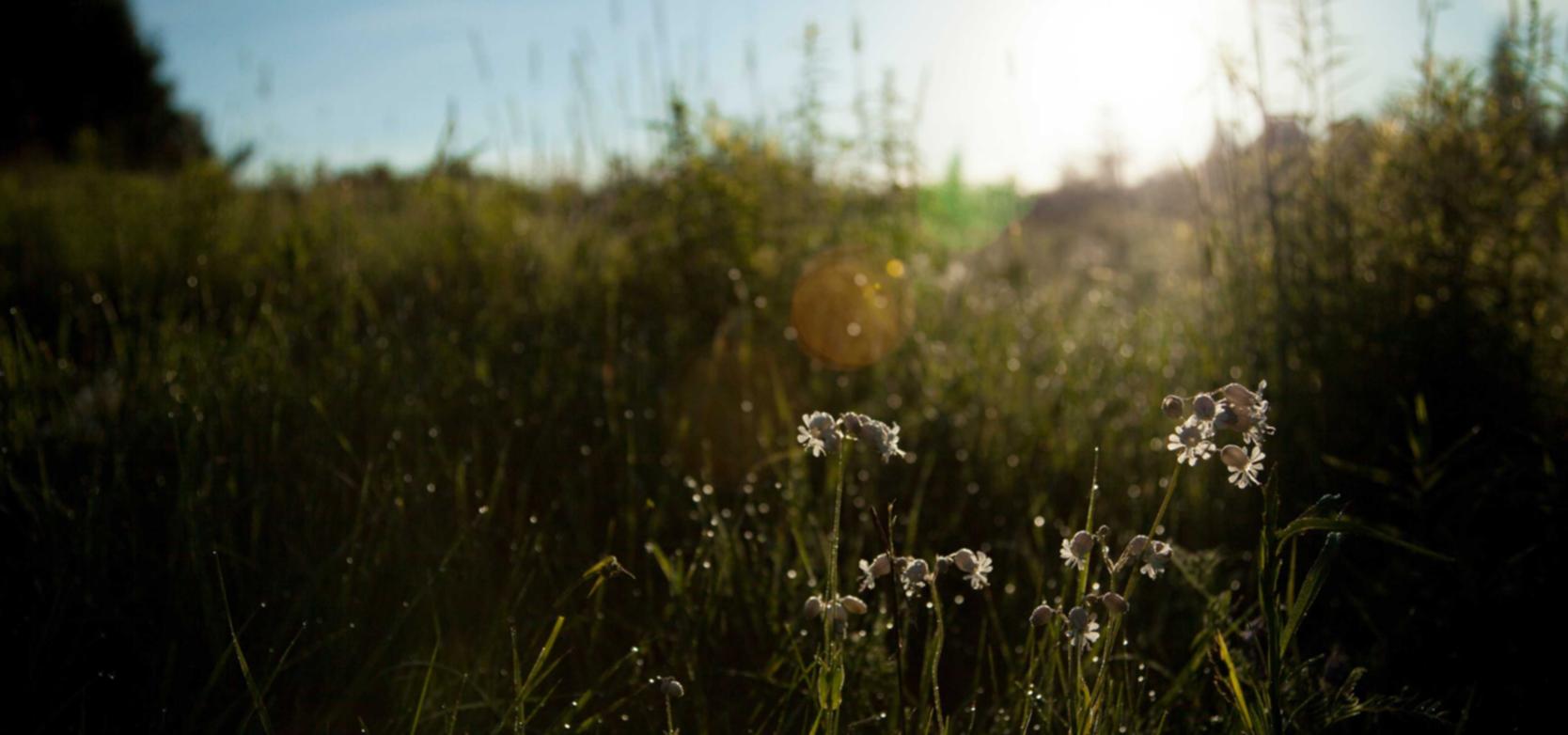 非对称加密算法漏洞防范与ddos攻击安卓防范