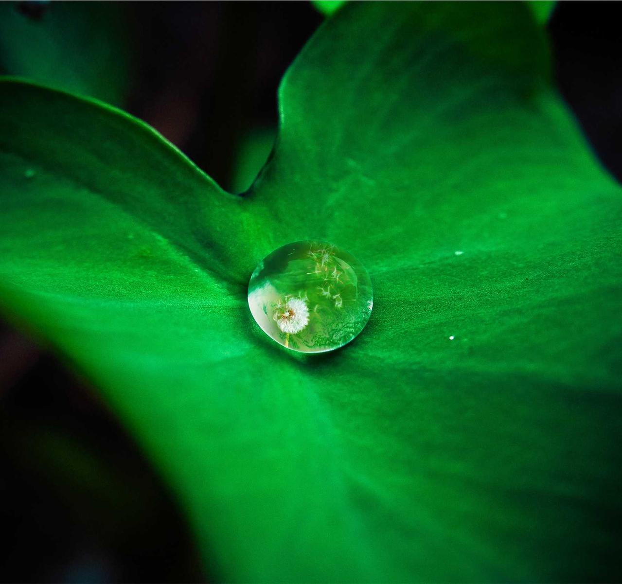 租微信号:aa出行平台代理加盟