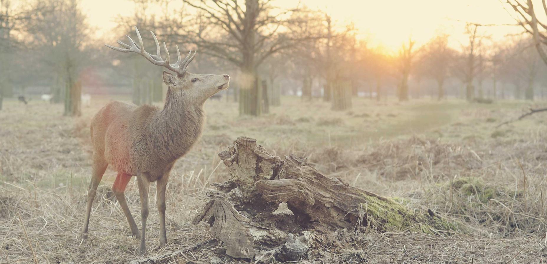 吸烟和儿童的影响