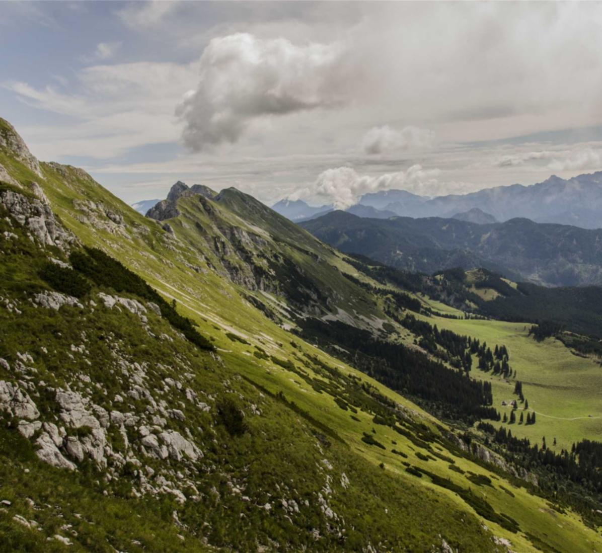 趣约会实名账号:泉州注册商标代理