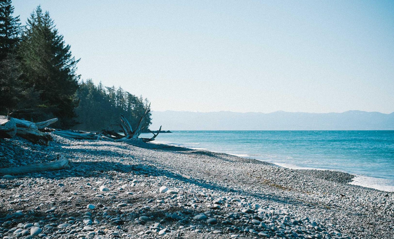 韩免铁塔猫济州岛(限定):有道云协作app详情下载教程