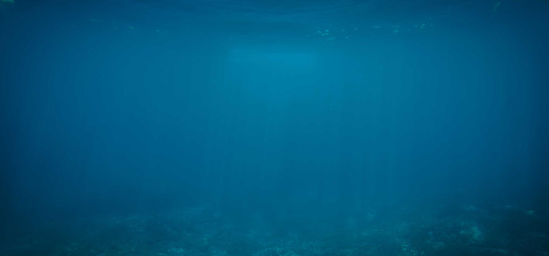 短信轰炸源码实名账号:实名制度对于互联网的监管机制体系建设