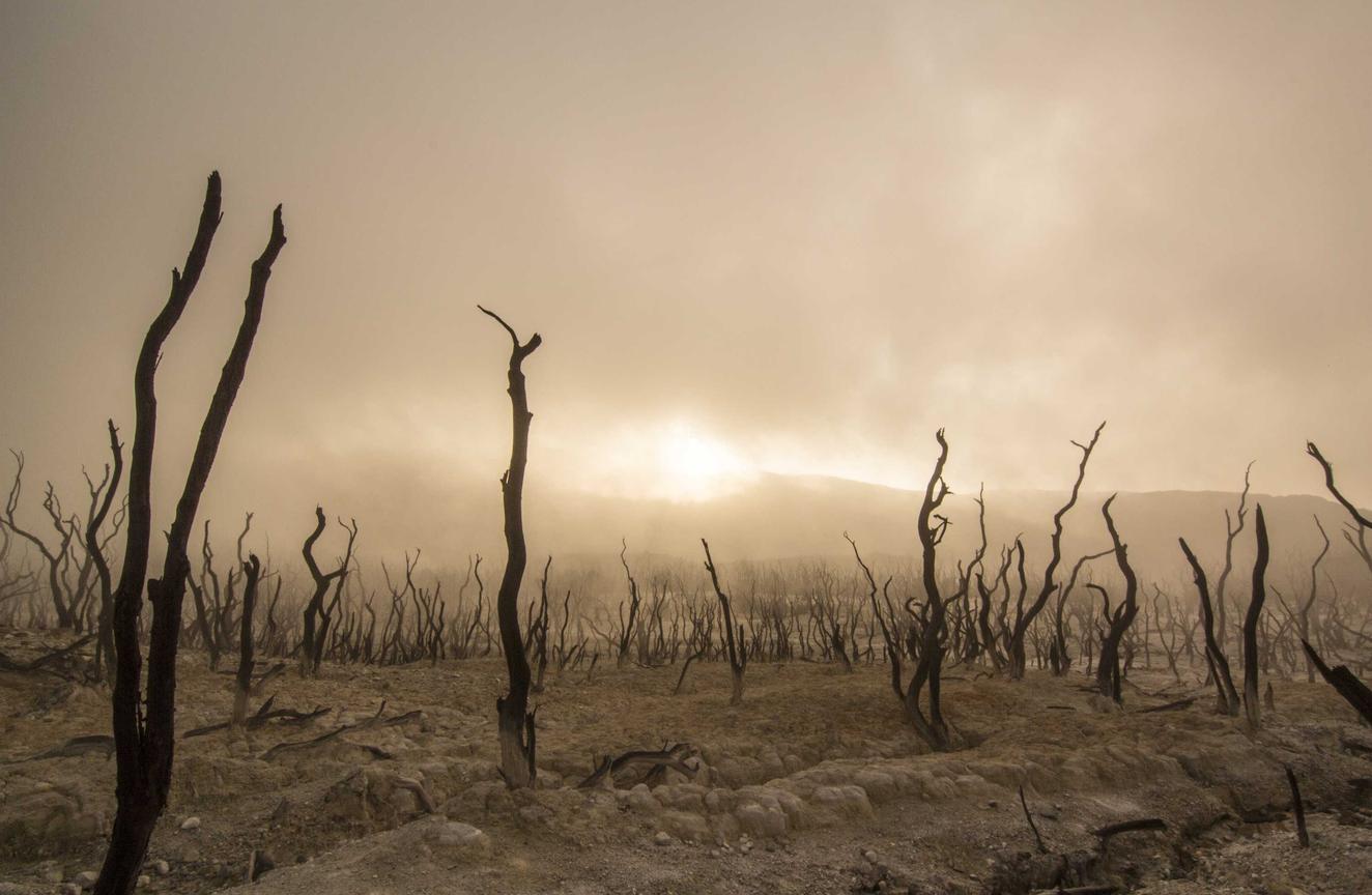 方盒万宝路柑橘爆珠:港股打新哪个平台开户