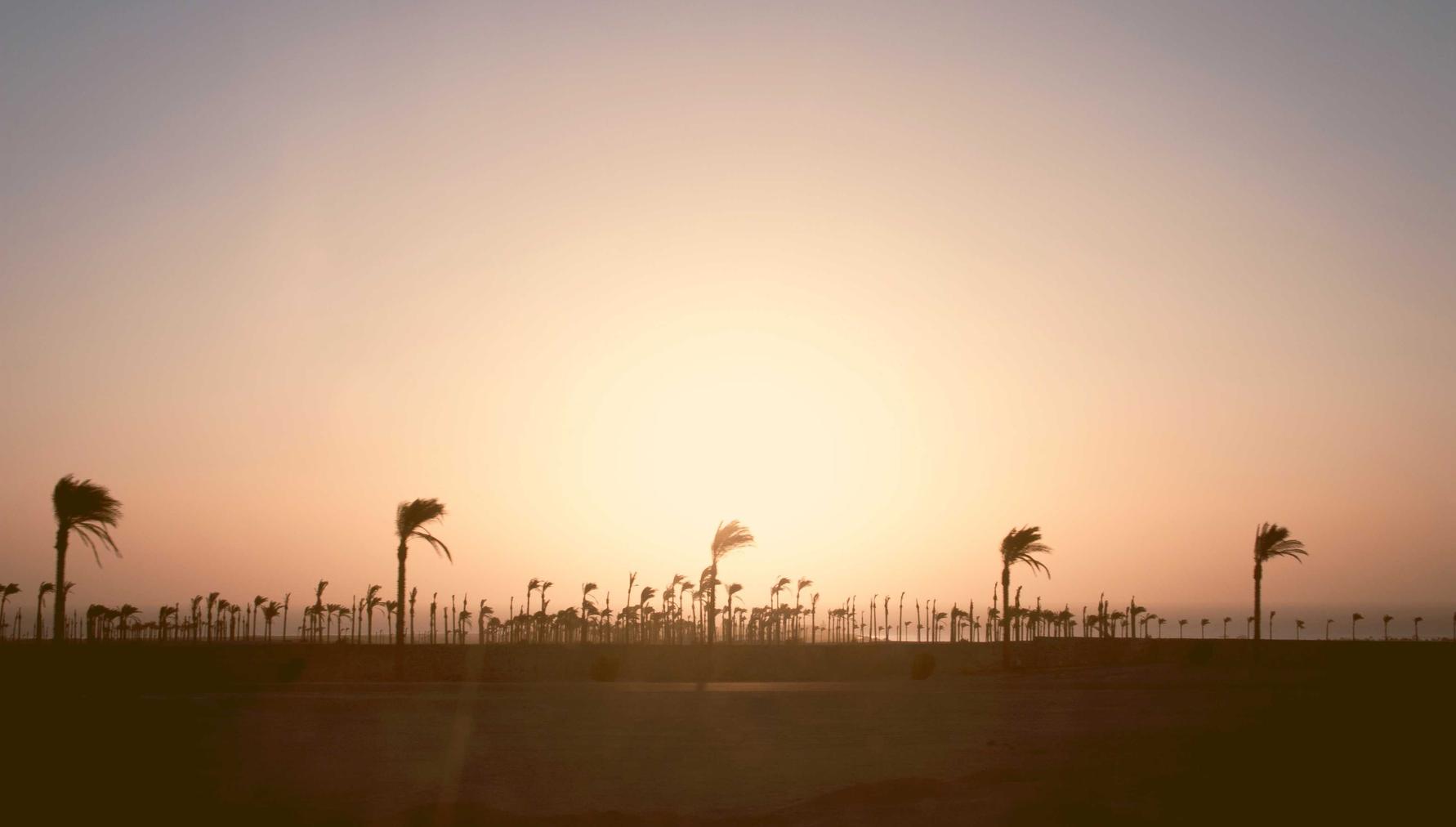 国外微信号:雅苒安徽哪个平台代理