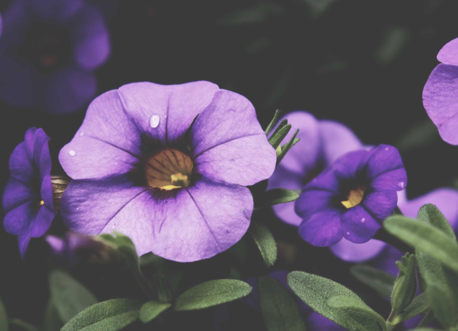 无需实名流量卡:流量卡和手机卡的区别灰常微妙