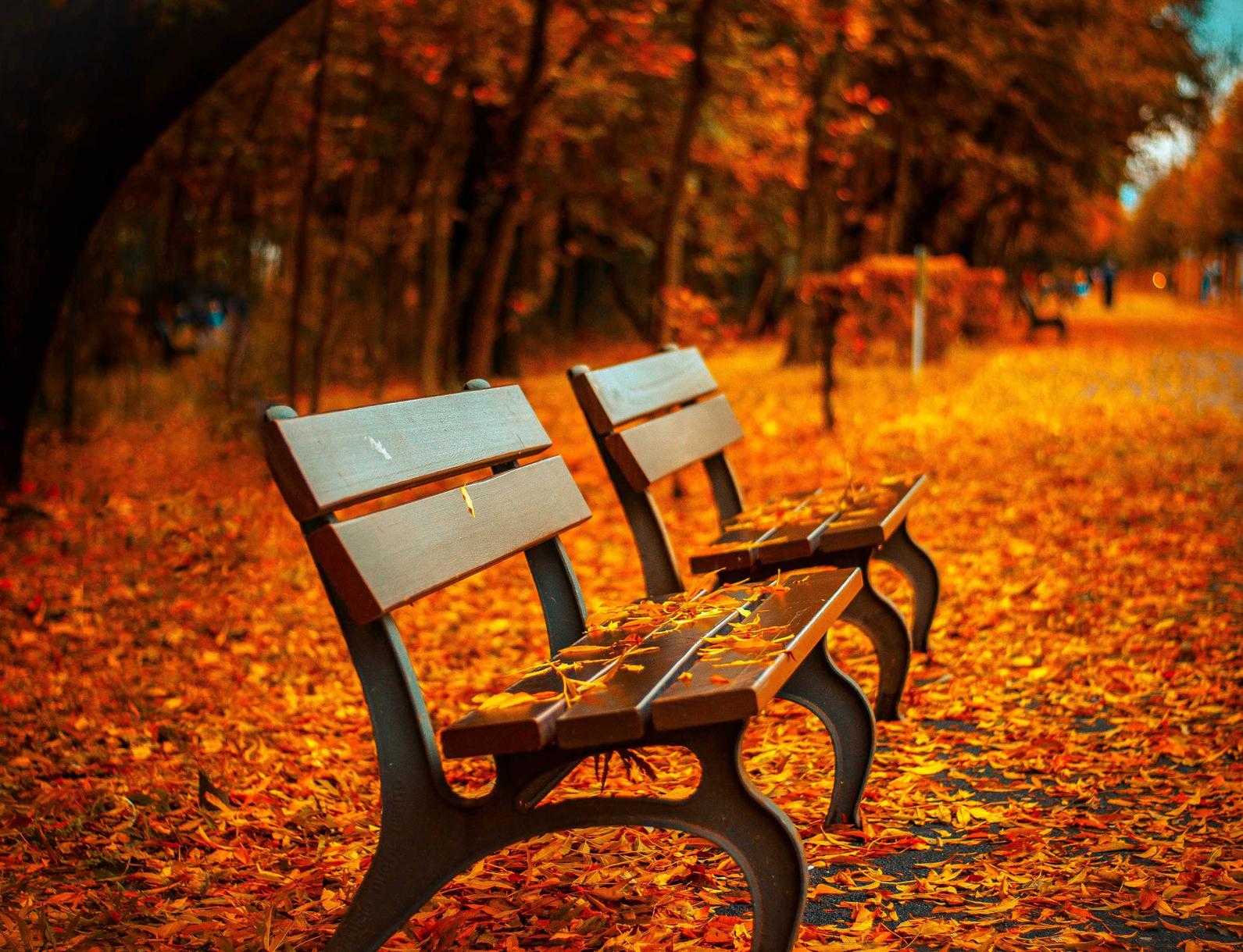 大小招卡实名账号：咸鱼自助购买平台