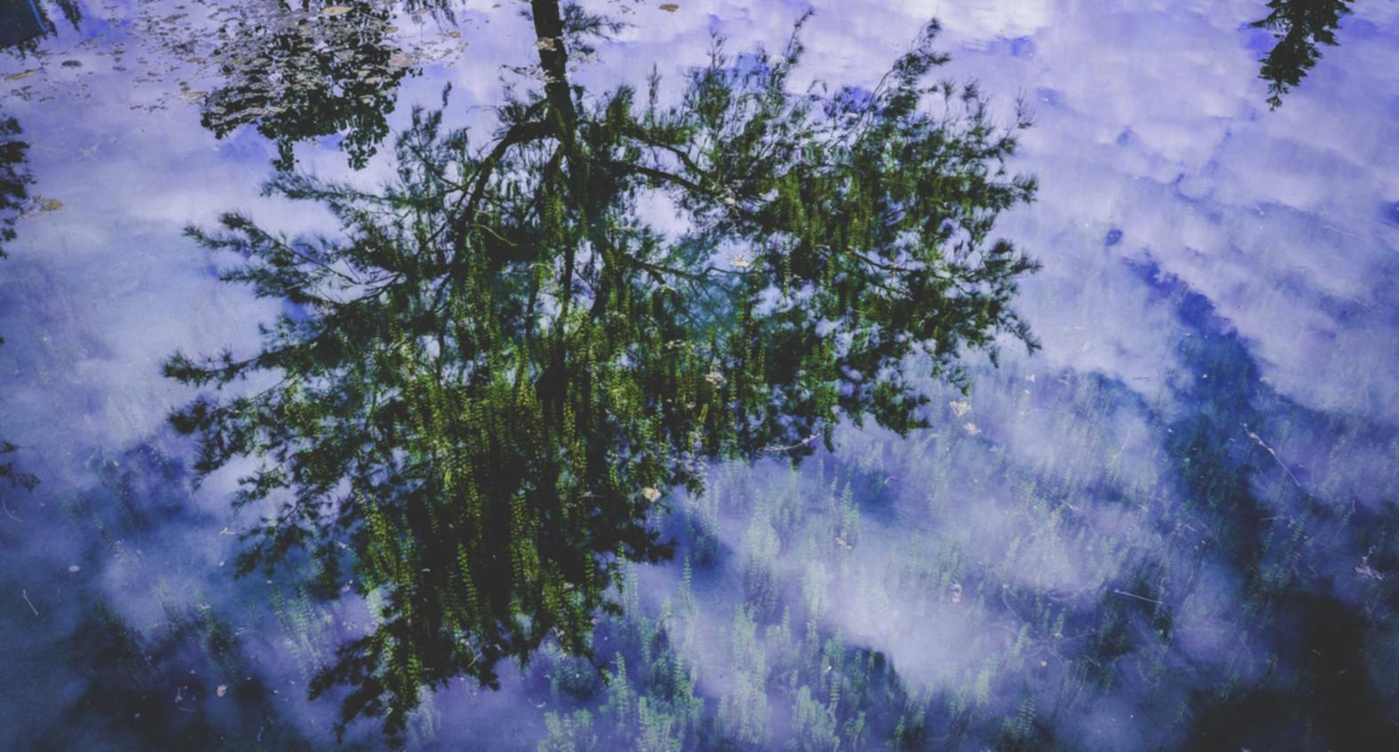 中国联通实名账号:代理注册亚马逊30万