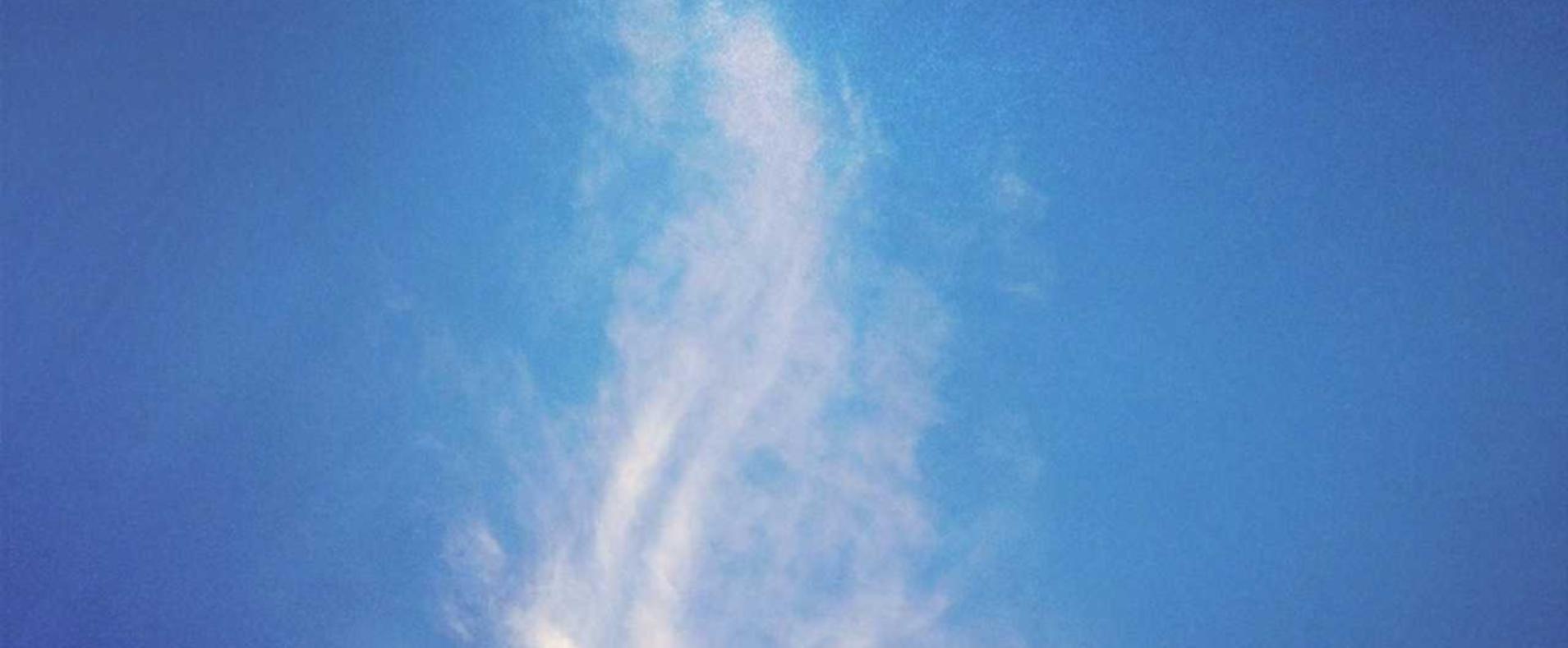 中立we志愿app详情下载教程