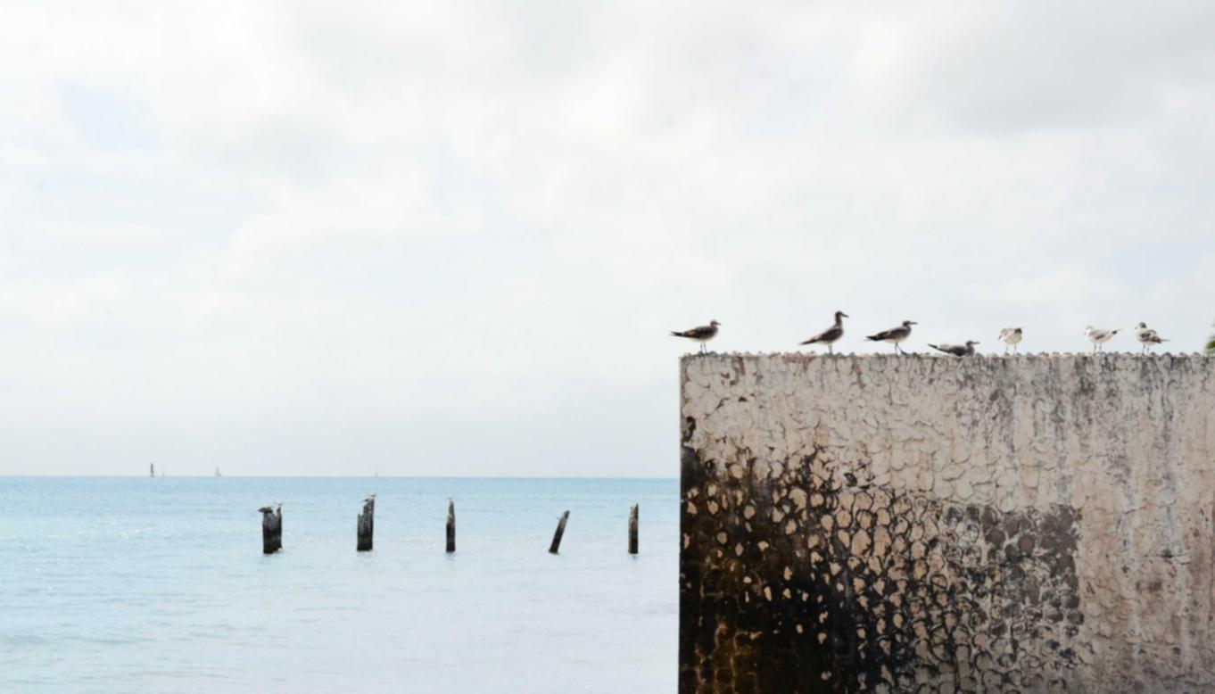 长江时代实名账号：足球在线购买平台