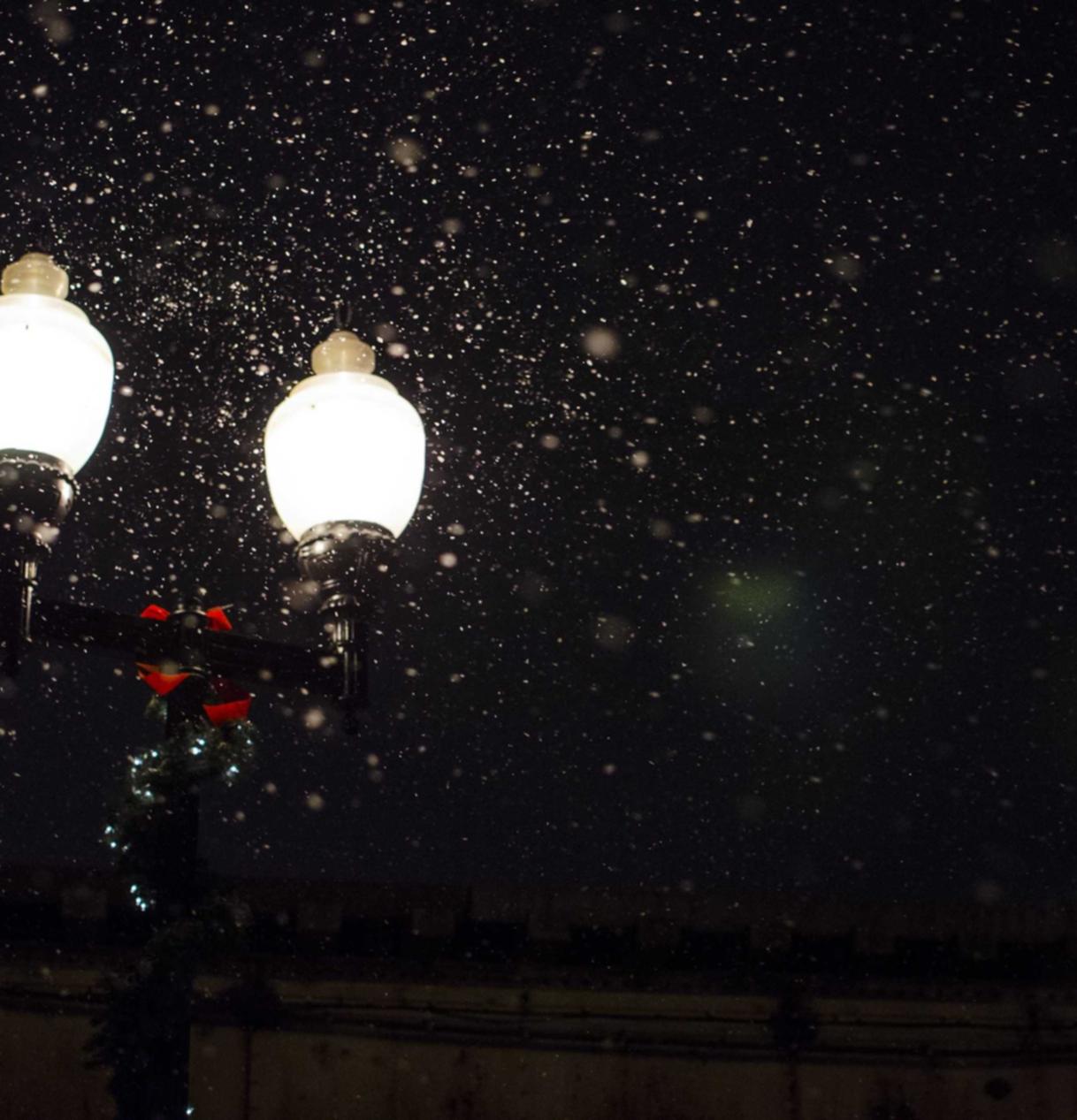 月亮影视app详情下载教程