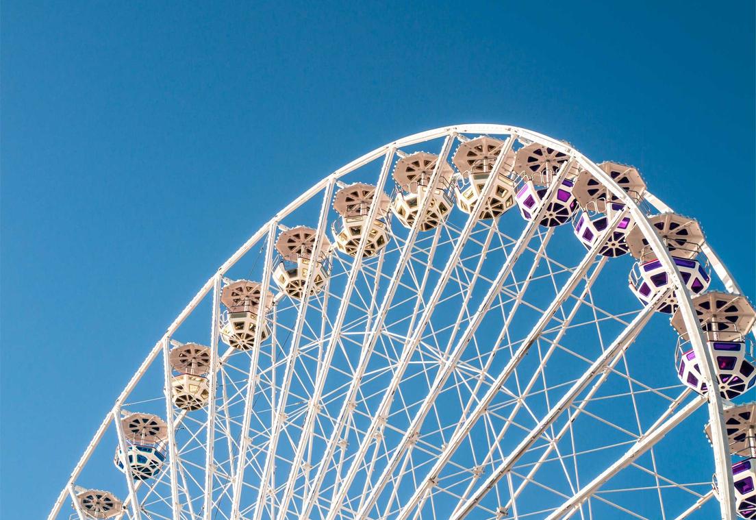 芝麻开门实名账号:掌上猫咪app详情下载教程