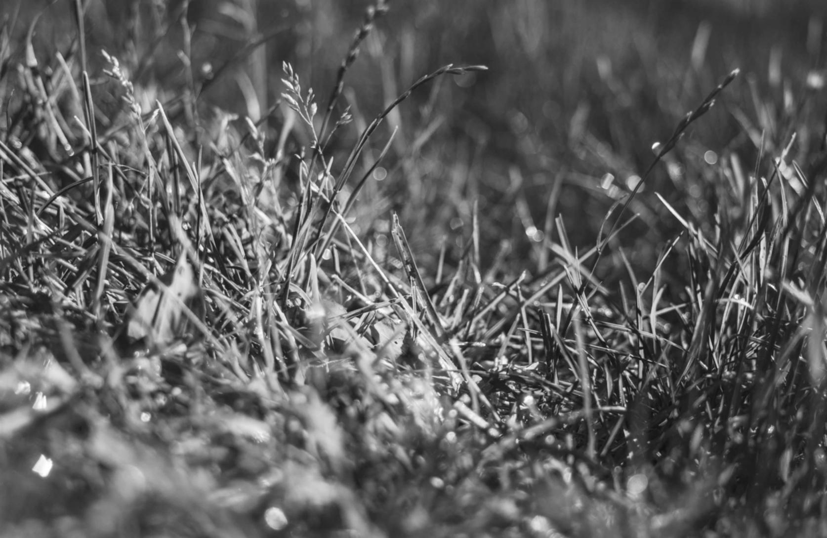 解读DDOS攻击指数增长- 飞猪平台代理