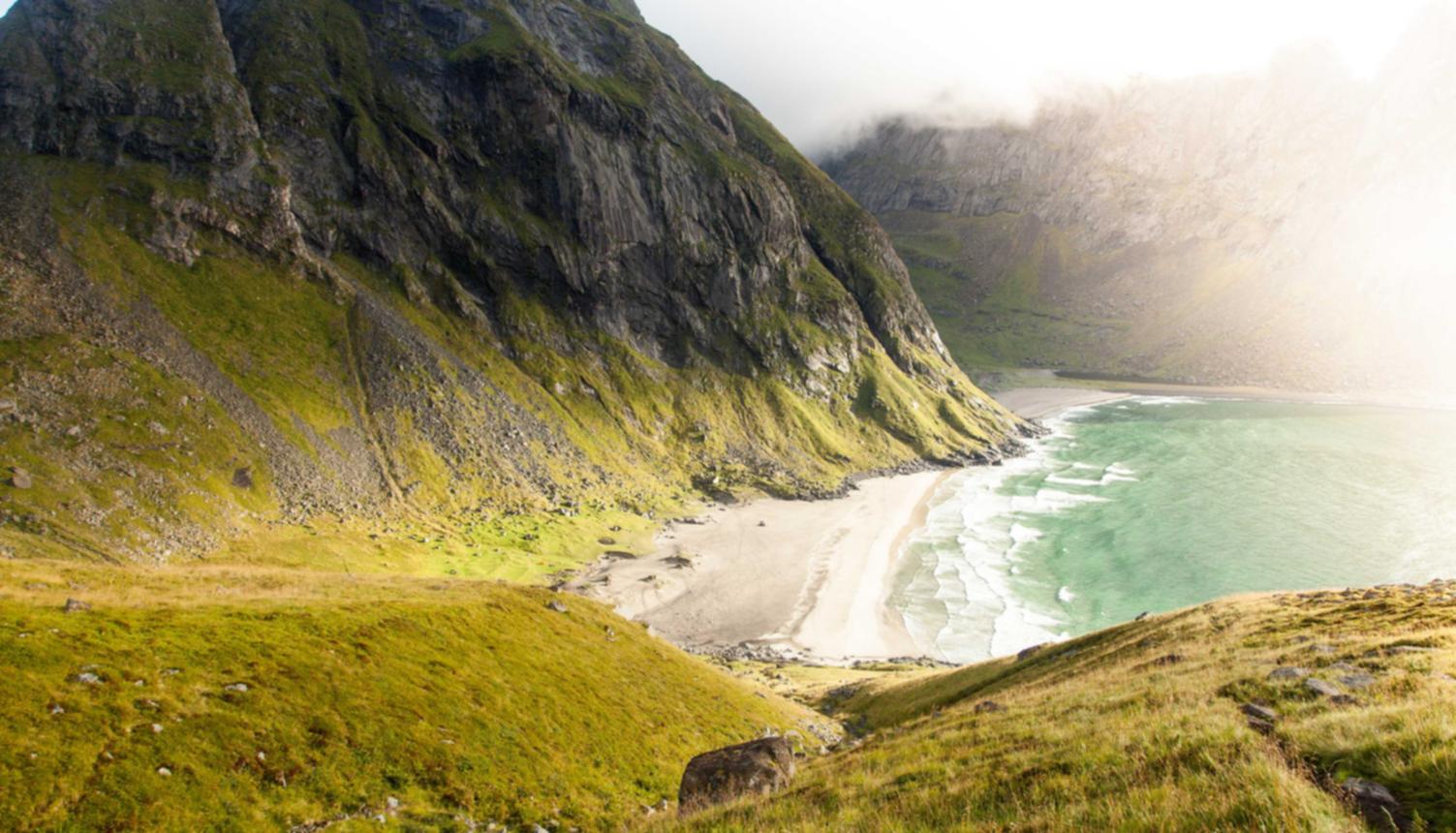 光辉网易官方购买平台有哪些平台