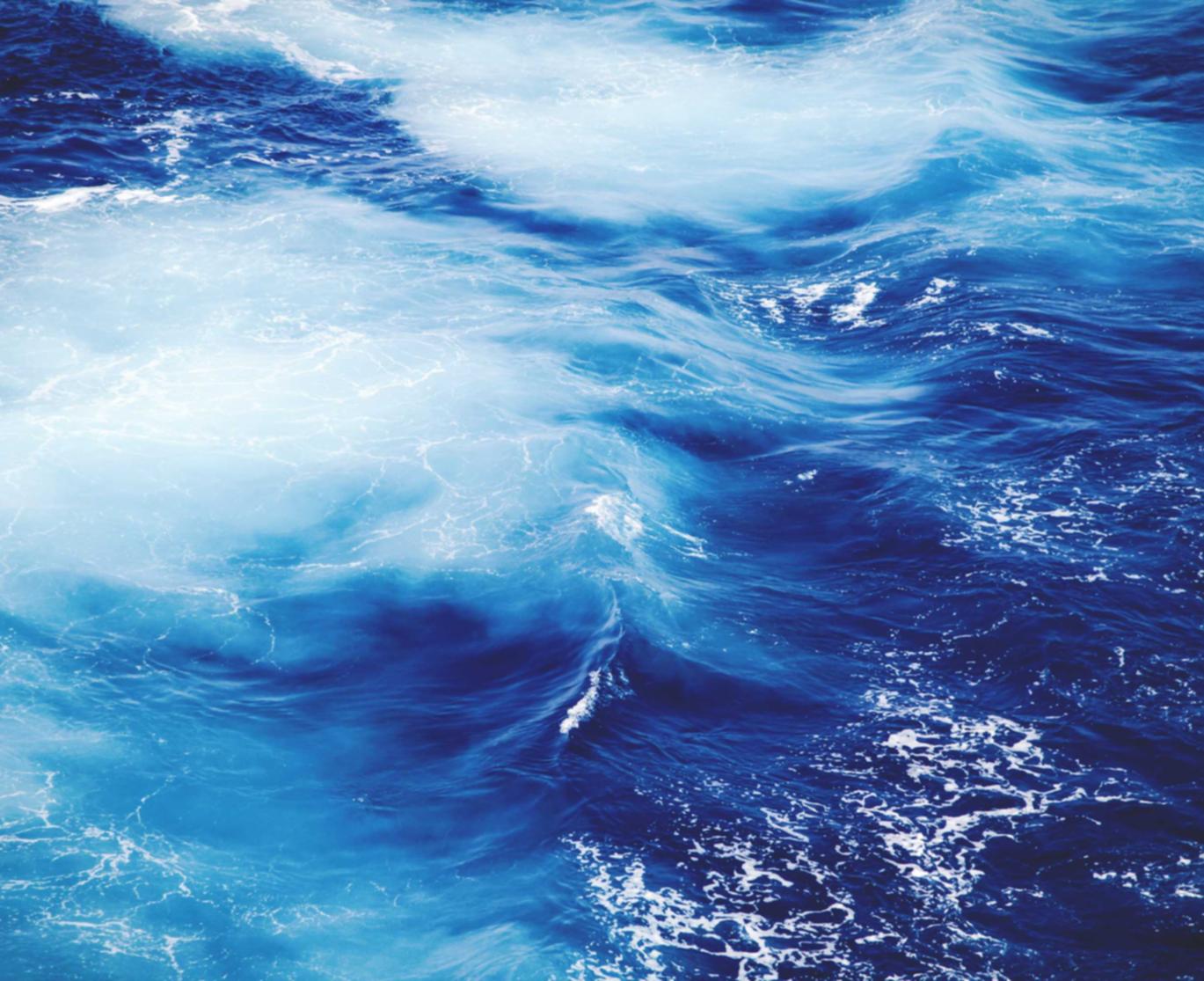 cc网页端|阿坝个体工商注册代理