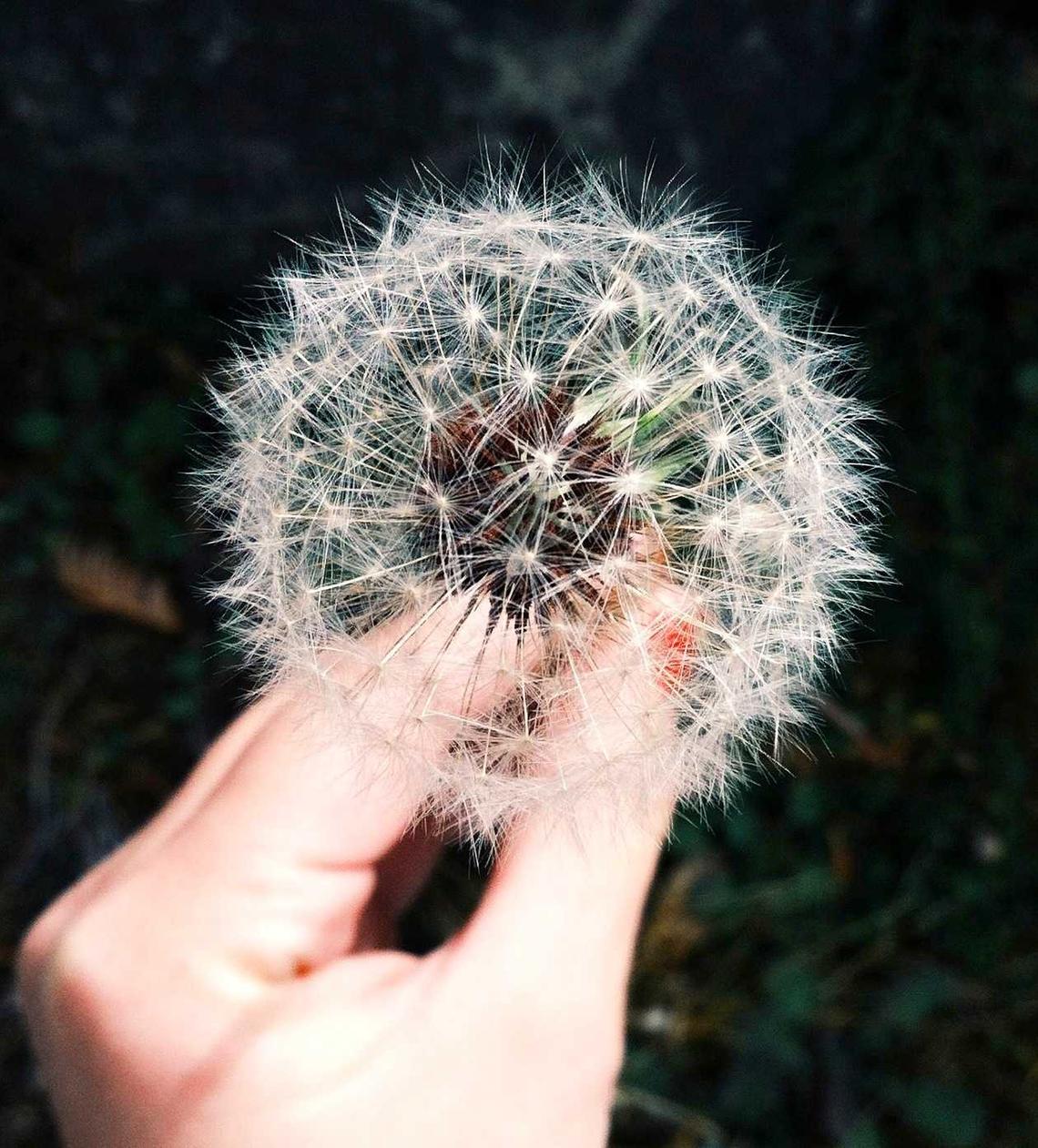 不良人3：大众房产app详情下载教程