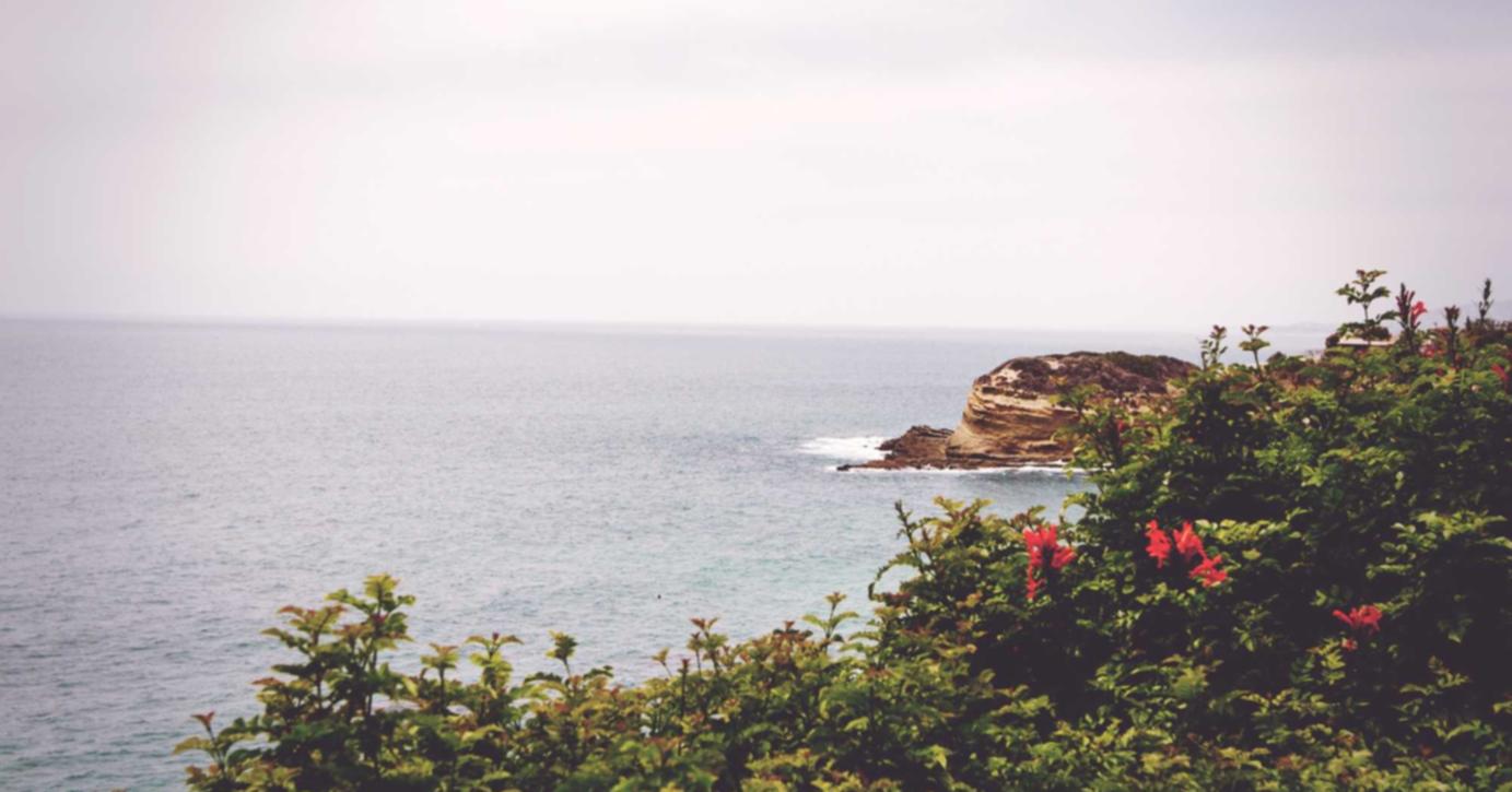 vx买卖：开户送平台