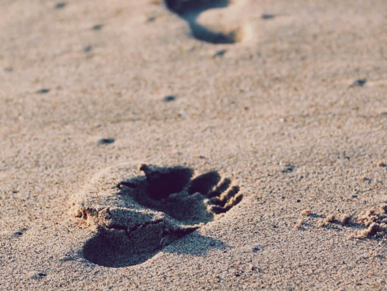 物联卡那个卡好：流麻购买平台