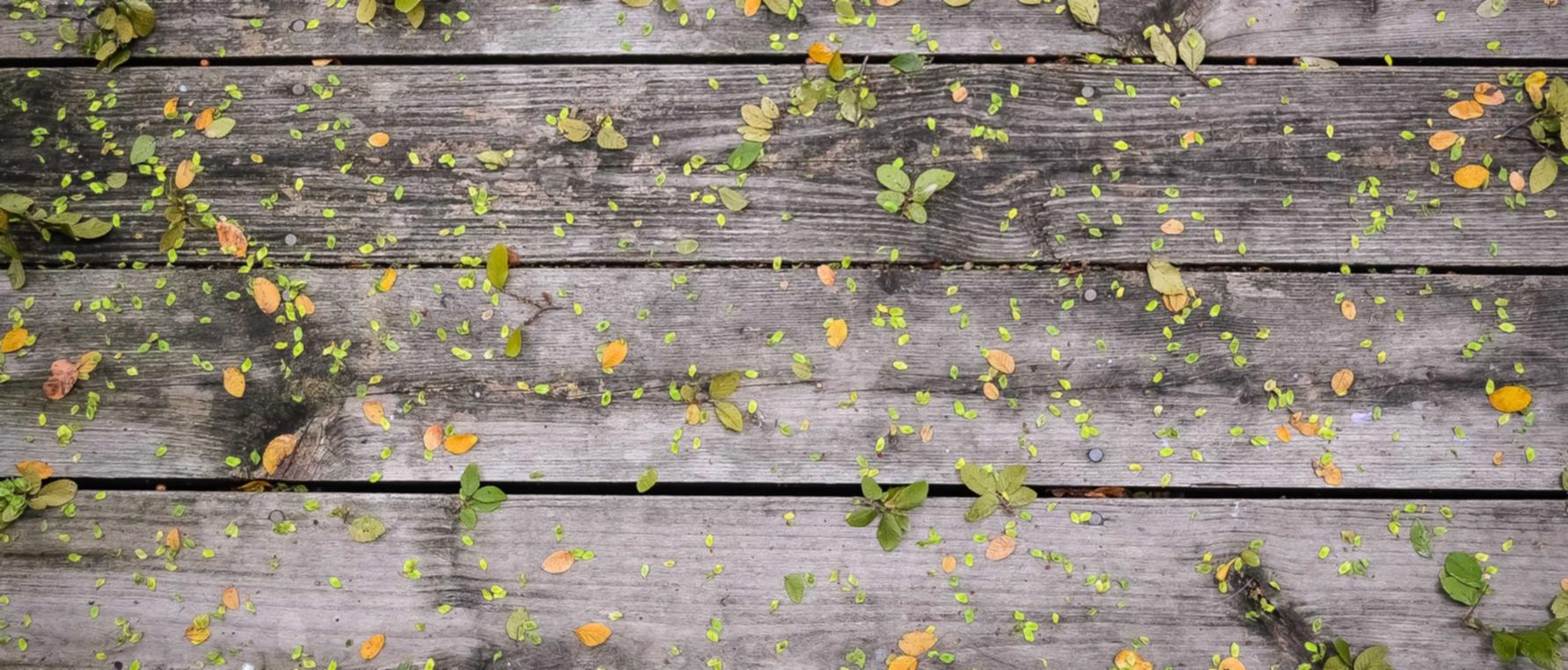 灵魂实名账号：实名制账号如何应对个人信息保护？