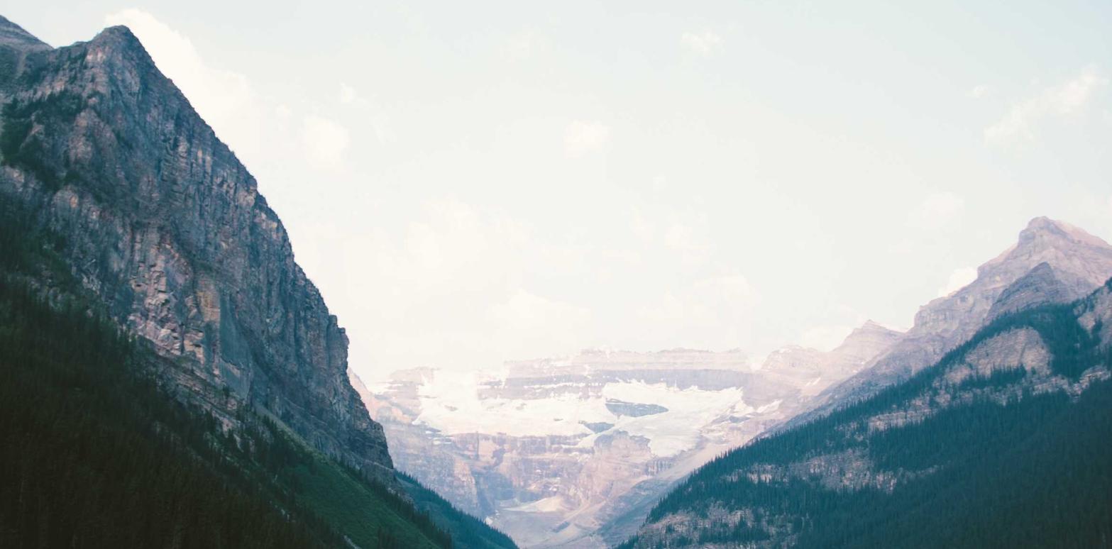 猪肺和人肺，你知道烟气的污染有多严重吗？