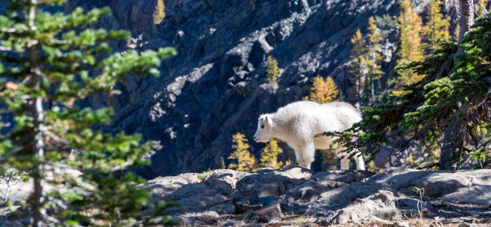 网站安全渗透：详情下载教程app平板重启