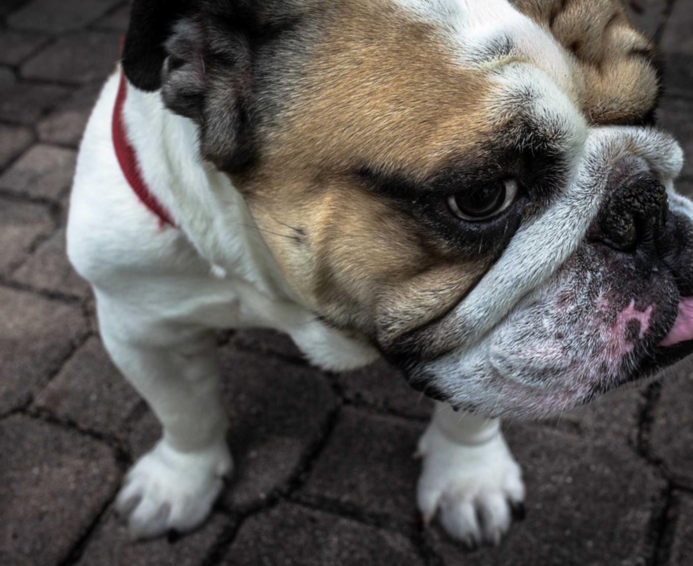 噩梦岛：重新注册苹果id账号