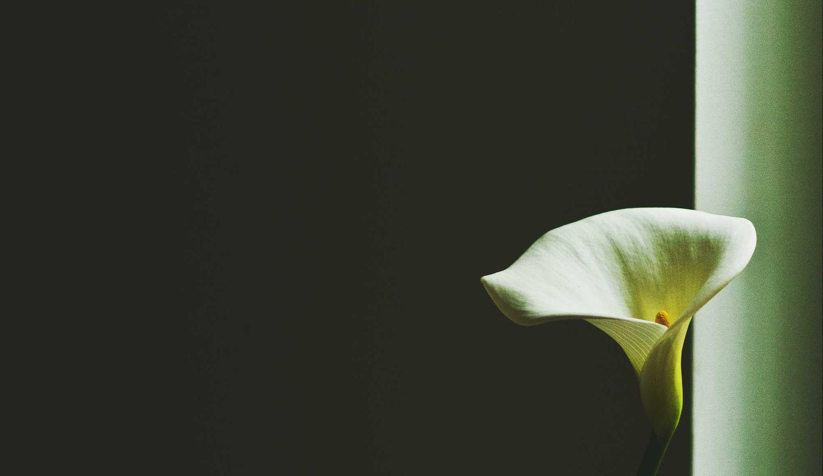 DDOS攻击教程|嘿卡购买平台