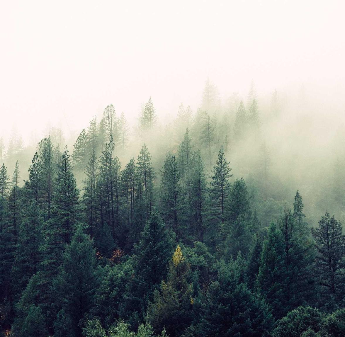 酷信170实名账号：二手捕鱼船购买信息平台