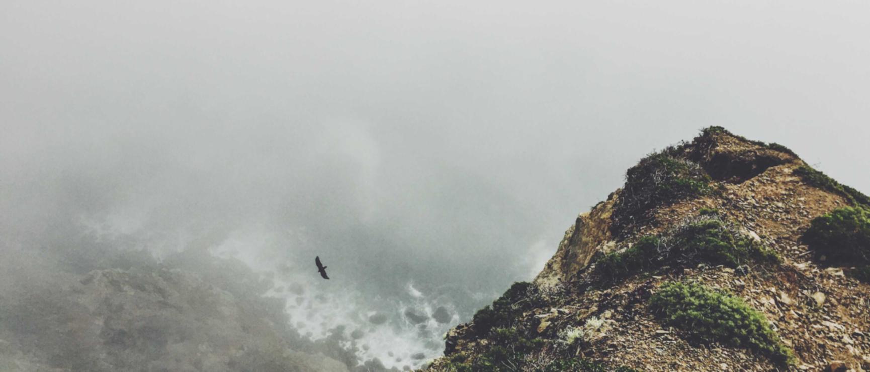 免费DDOS攻击平台|白酒代理平台哪里好