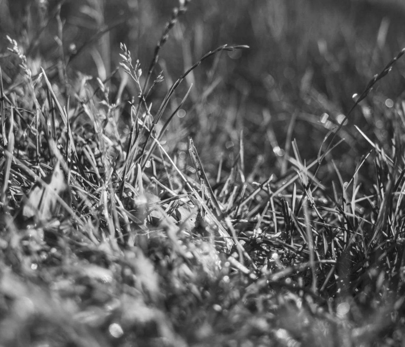 老人卡实名账号:公积金账号如何注册