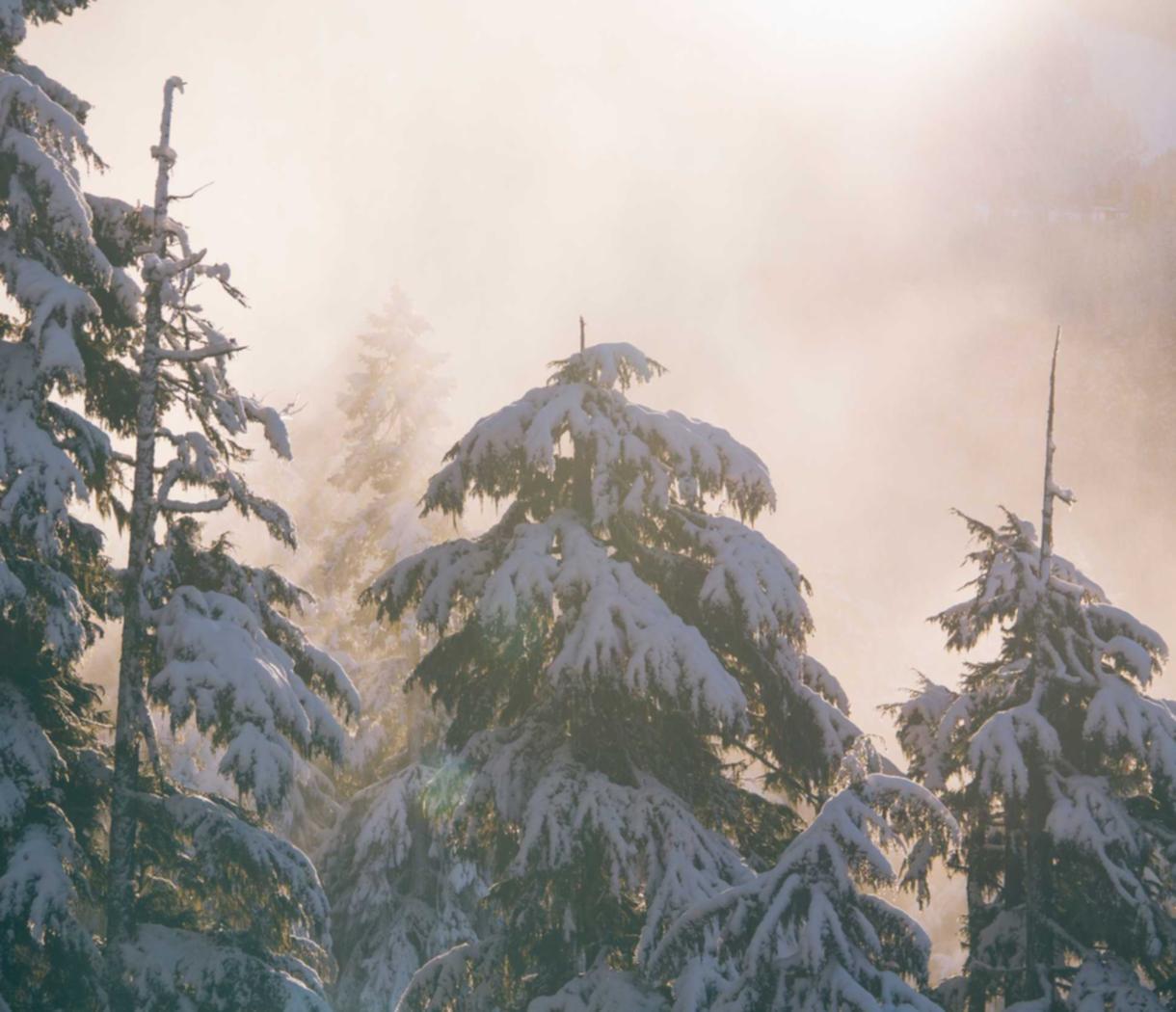 稳定的双语服务团队上家:陕西现货平台代理骗局