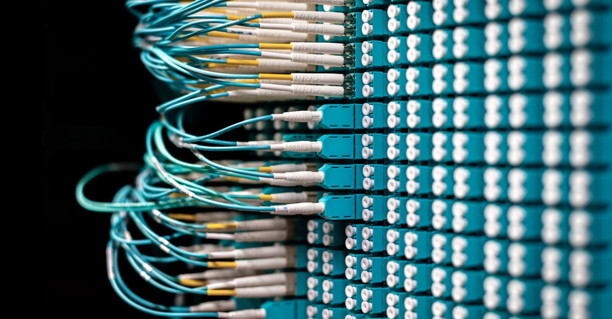 豪利时蓝莓爆珠:详情下载教程app送金