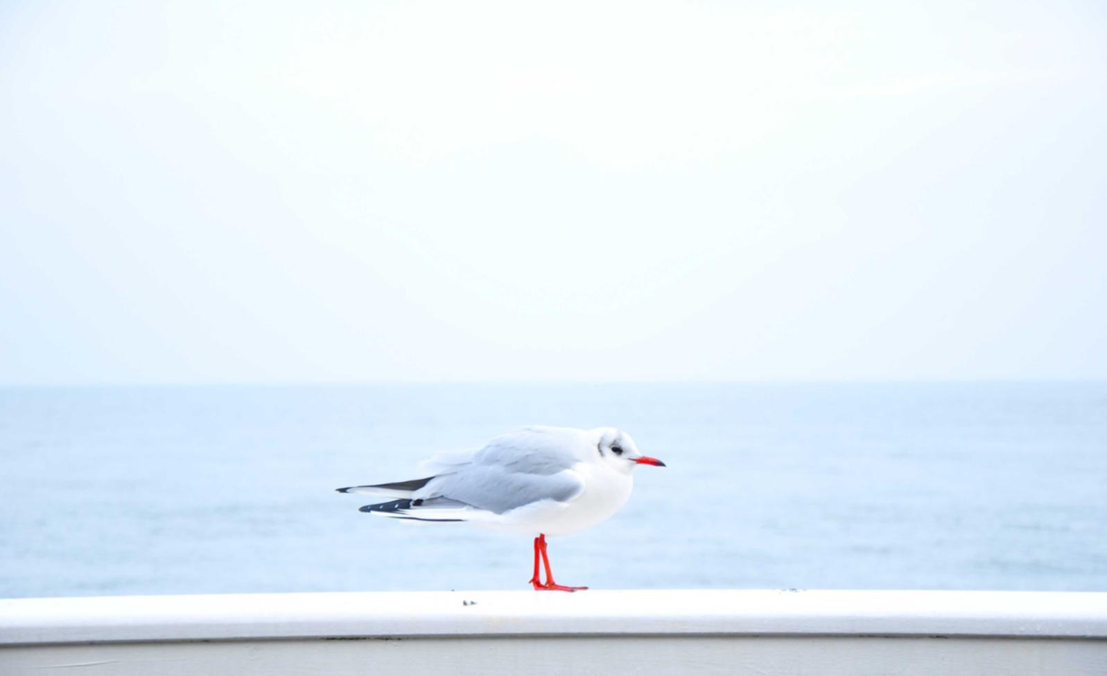 微信新号买卖:吉林快三平台开户