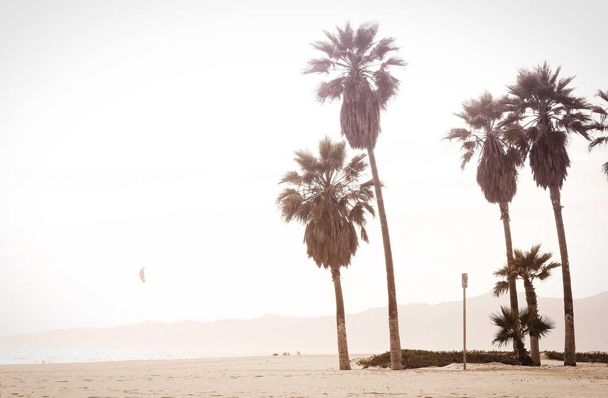 syn攻击|环球平台代理