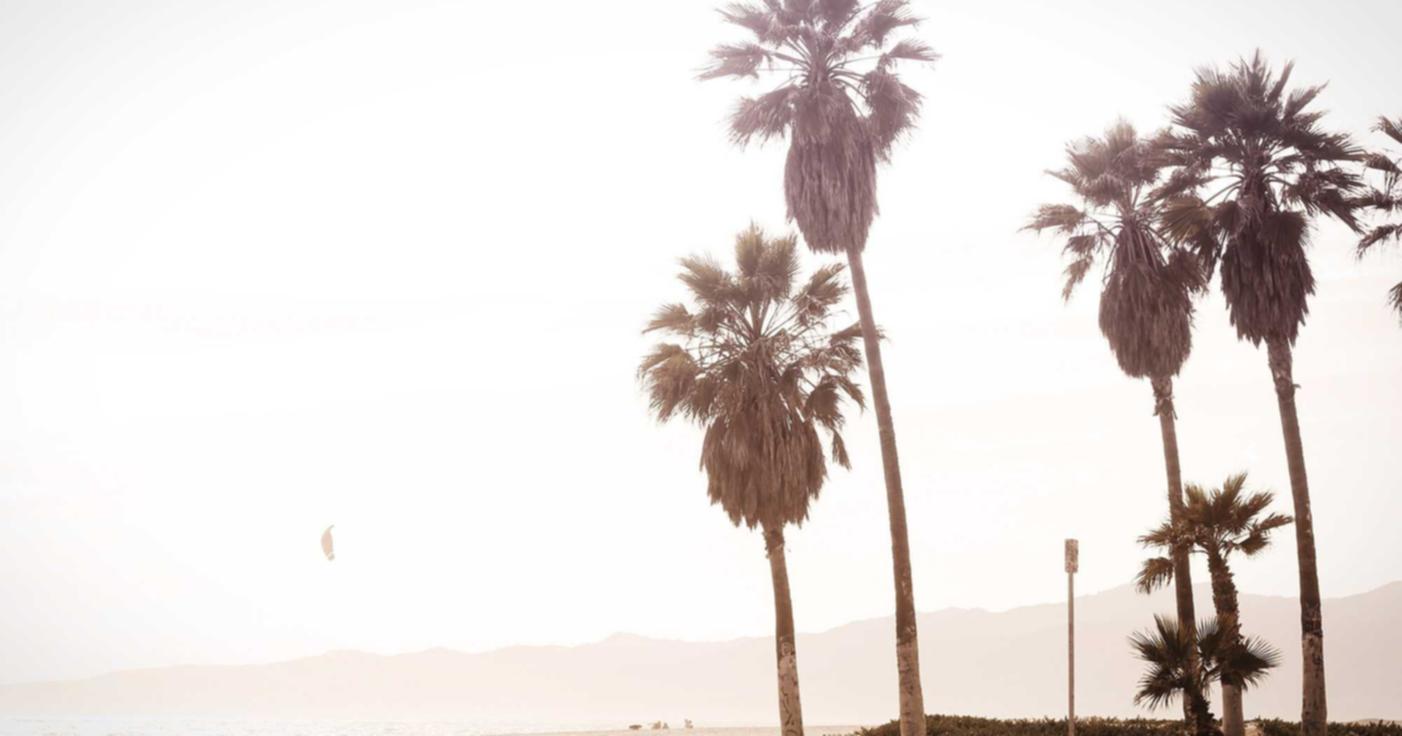 蓝猫移动实名账号:瑞安单位公司代理注册流程