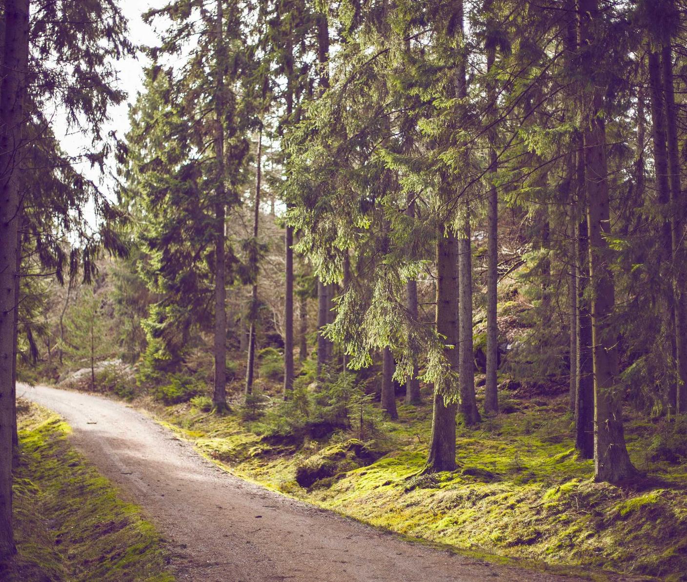 教程资料代理平台