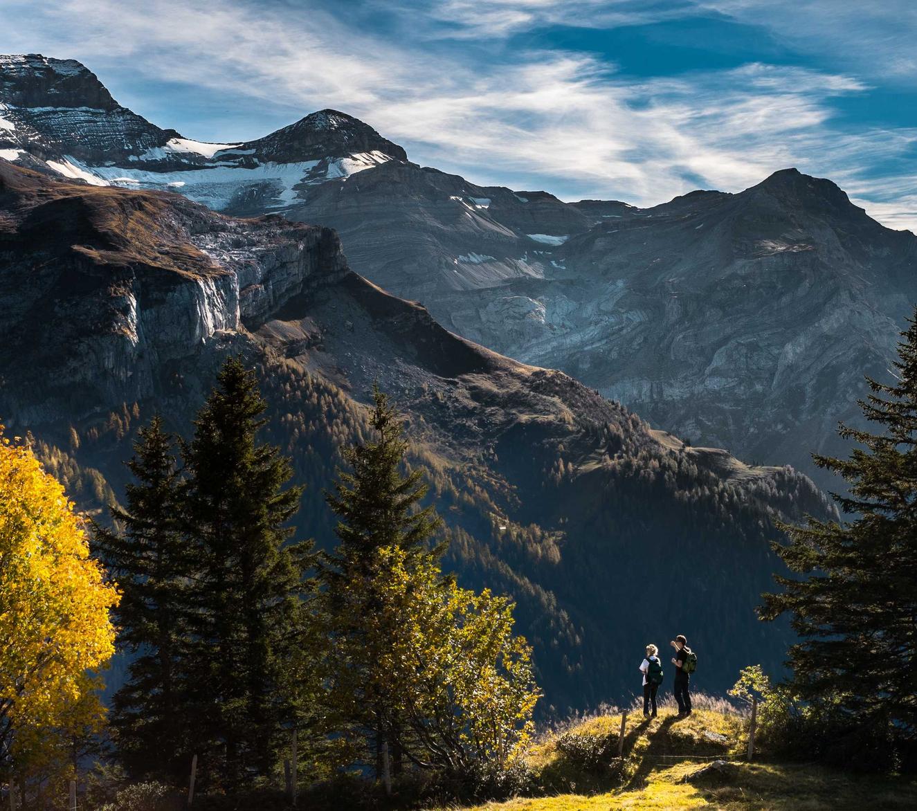 征途2经典版:58同城邮箱注册账号