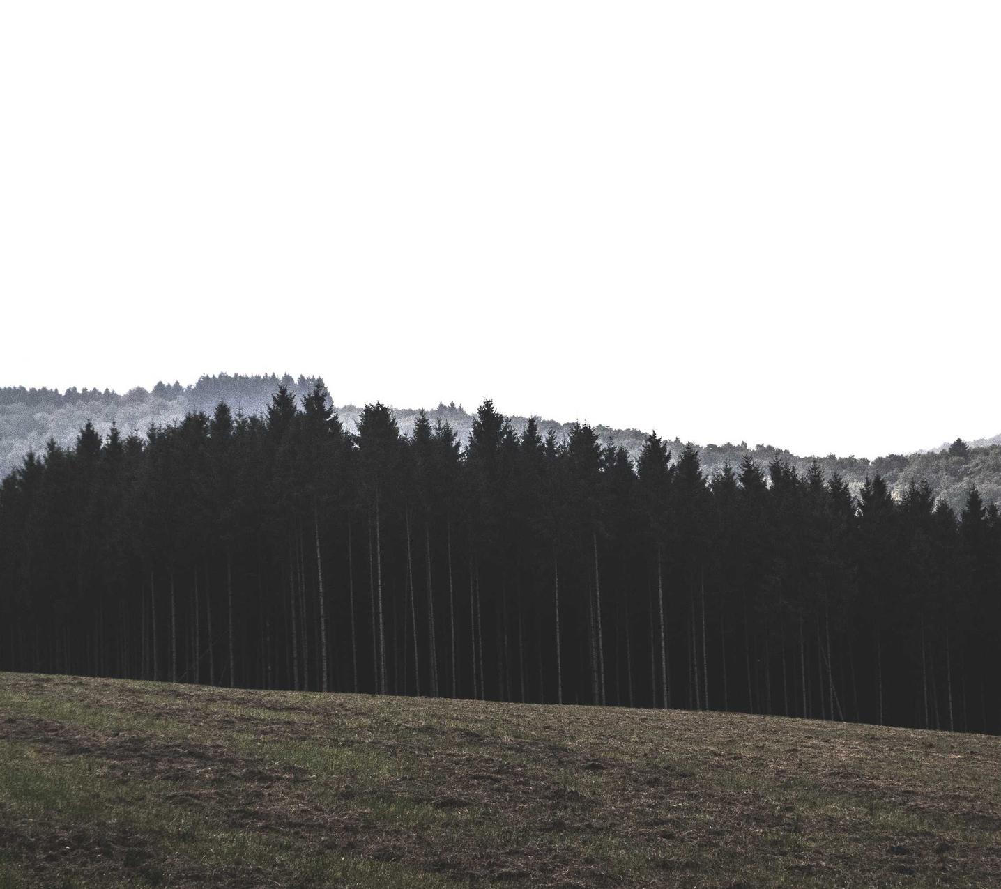 马尔斯哈密瓜爆珠(粗):woohoo app详情下载教程